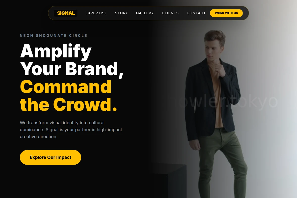 Signal Creative Direction