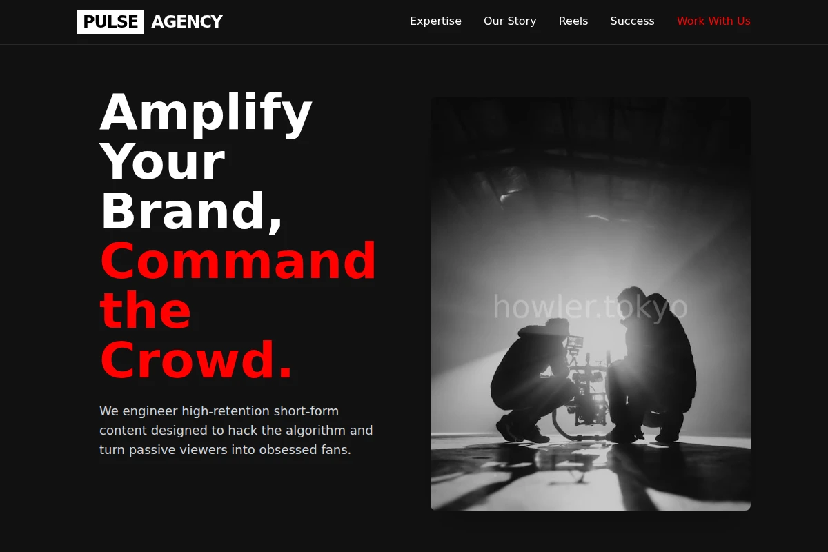Pulse Short Form Video Agency